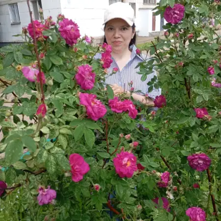 Gulnaz, 37Ufa, Russia