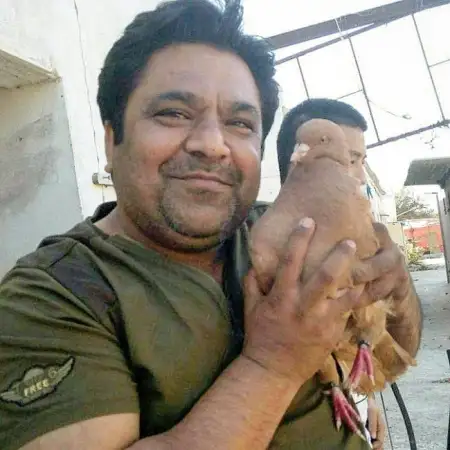 Meeban, 50Oman