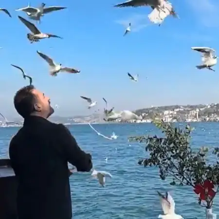 Yusuf, 40Bartin, Turkey 
