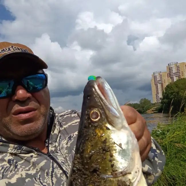 Shuhratbek, 50, Yekaterinburg, Russia
